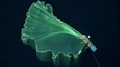 fototelegraf.ru, фото - Новости Zakon.kz от 16.01.2019 10:25