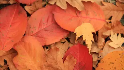 Синоптики предоставили прогноз погоды в Казахстане на выходные , фото - Новости Zakon.kz от 16.09.2022 12:02