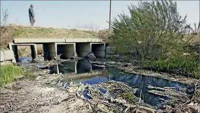 Zakon.kz, фото - Новости Zakon.kz от 29.10.2014 14:57