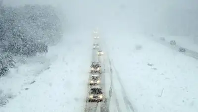 RIA56, фото - Новости Zakon.kz от 05.03.2018 01:20