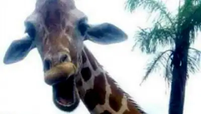 Zakon.kz, фото - Новости Zakon.kz от 03.07.2015 01:05