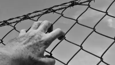 Zakon.kz, фото - Новости Zakon.kz от 25.01.2017 12:21