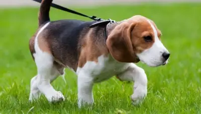 Zakon.kz, фото - Новости Zakon.kz от 19.05.2016 17:42