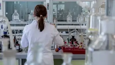 pixabay.com, фото - Новости Zakon.kz от 17.10.2021 00:25