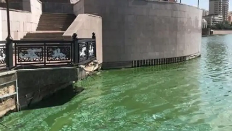 Что известно о результатах проверки позеленевшей воды в Есиле