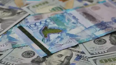 prodengi.kz, фото - Новости Zakon.kz от 19.02.2019 11:33