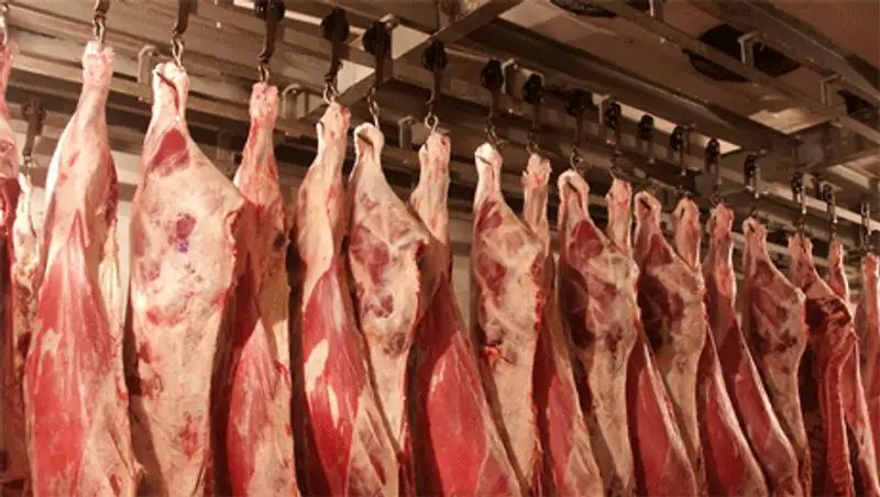В МСХ состоялся брифинг по вопросам экспорта мяса, фото - Новости Zakon.kz от 27.11.2013 01:20