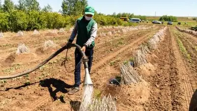 акимат столицы, фото - Новости Zakon.kz от 09.06.2021 15:02