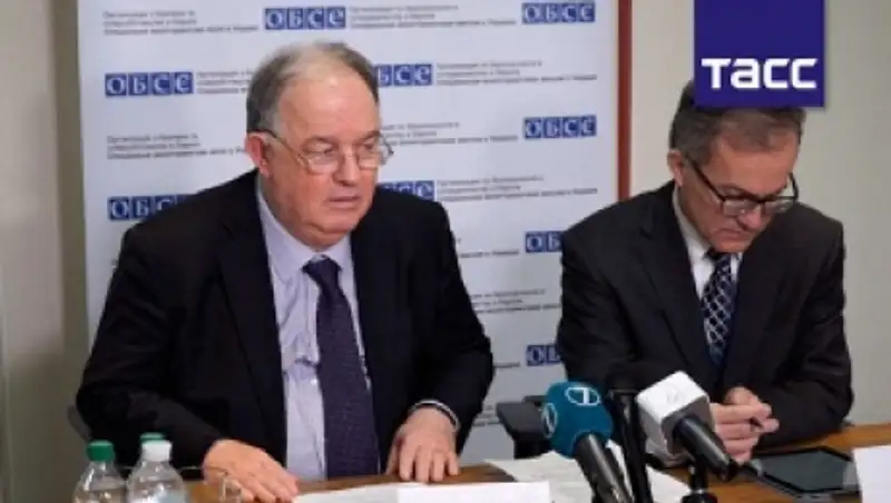 Миссия ОБСЕ: у большинства жителей ДНР и ЛНР нет доступа к пище и медицинской помощи