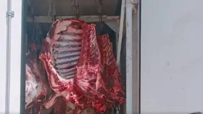 попытка провоза, фото - Новости Zakon.kz от 05.07.2023 01:14