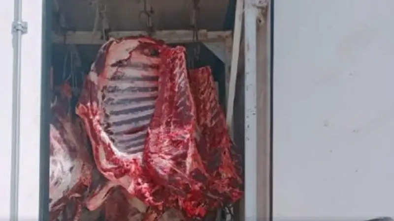 Из Казахстана незаконно пытались вывезти 14 тонн мяса