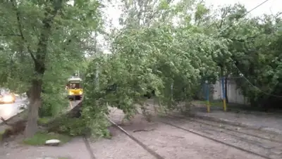 Zakon.kz, фото - Новости Zakon.kz от 17.05.2015 20:15