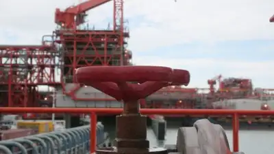 Фото с сайта liter.kz, фото - Новости Zakon.kz от 11.01.2018 13:01