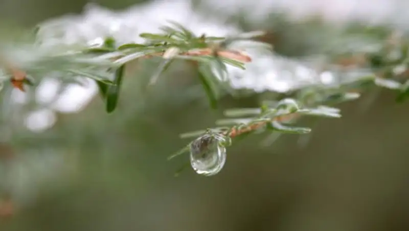 Дожди ожидаются во вторник в некоторых регионах Казахстана