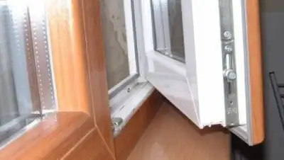 Zakon.kz, фото - Новости Zakon.kz от 12.12.2014 15:35