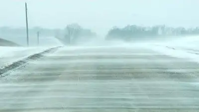 Zakon.kz, фото - Новости Zakon.kz от 12.12.2016 16:27