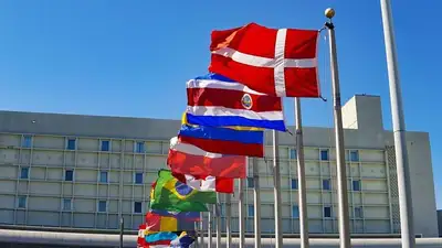 флаги, фото - Новости Zakon.kz от 12.10.2023 18:43