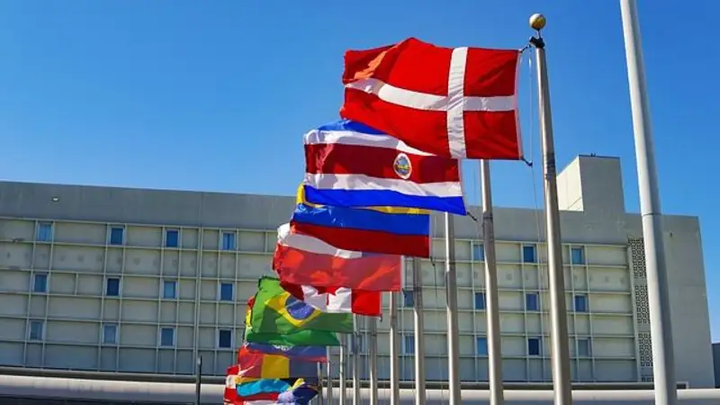 В секторе Газа с начала конфликта погибли 12 сотрудников ООН