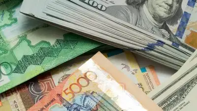 Zakon.kz, фото - Новости Zakon.kz от 12.09.2017 11:21