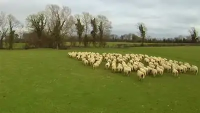 Zakon.kz, фото - Новости Zakon.kz от 31.03.2015 17:19