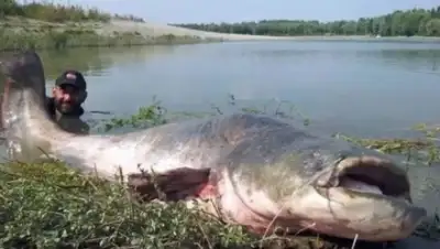 Zakon.kz, фото - Новости Zakon.kz от 15.12.2015 16:25