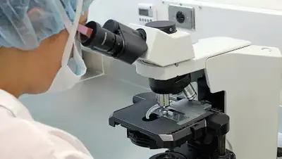 CC0 / pixabay, фото - Новости Zakon.kz от 12.01.2019 17:41