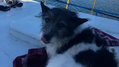 YK-news.kz, фото - Новости Zakon.kz от 12.10.2018 06:29