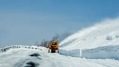 Zakon.kz, фото - Новости Zakon.kz от 28.02.2017 12:55