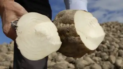 Zakon.kz, фото - Новости Zakon.kz от 26.10.2016 21:23