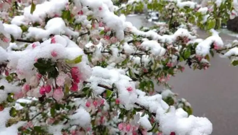 Какую погоду принесет антициклон в Казахстан