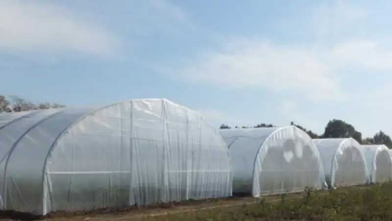 Жамбылский завод «Полиэтилен Агро»  наращивает производственную мощность