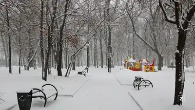 нур-султан, алматы, шымкент, погода, прогноз, казгидромет, фото - Новости Zakon.kz от 13.01.2022 16:59