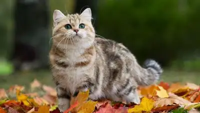 Zakon.kz, фото - Новости Zakon.kz от 04.10.2016 12:00