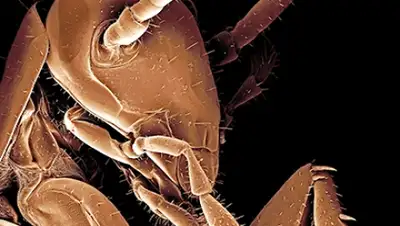 Zakon.kz, фото - Новости Zakon.kz от 13.11.2015 00:20