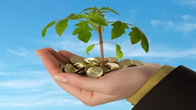 В Фонде «Даму» рассказали о новых инструментах поддержки малого и среднего бизнеса