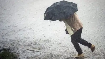 Zakon.kz, фото - Новости Zakon.kz от 04.11.2016 00:15