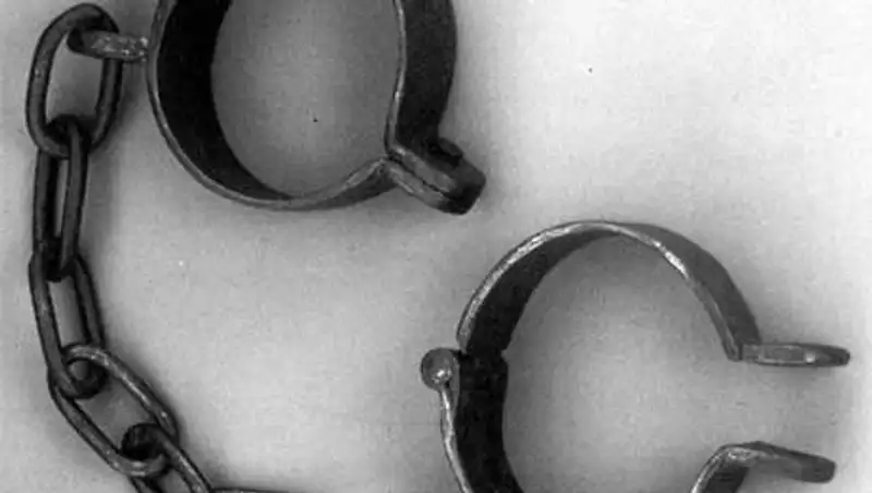 В Алматы в сексуальном рабстве держали 22-летнюю жительницу Шымкента