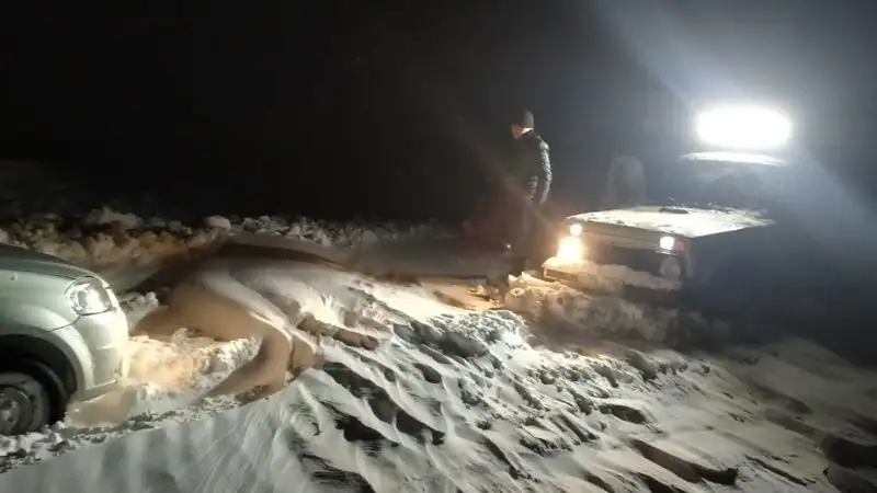43 человека спасли из снежного плена в Костанайской области, фото - Новости Zakon.kz от 08.03.2023 11:24