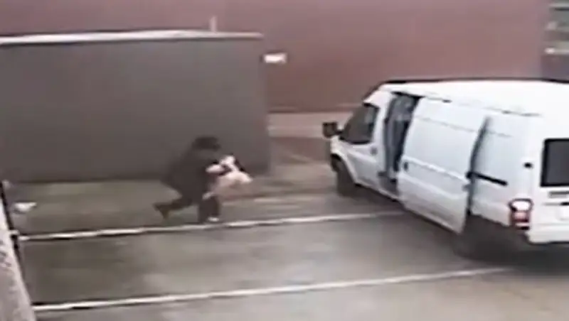 Кража секс-куклы попала на видео