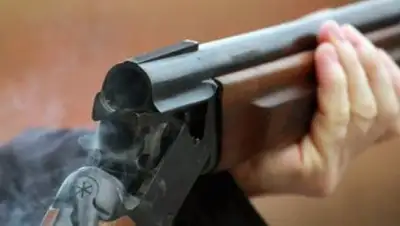 donday, фото - Новости Zakon.kz от 17.09.2020 12:47