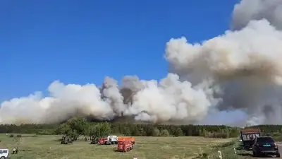 В Cети появились новые кадры тушения пожара в Абайской области, фото - Новости Zakon.kz от 25.05.2023 13:28