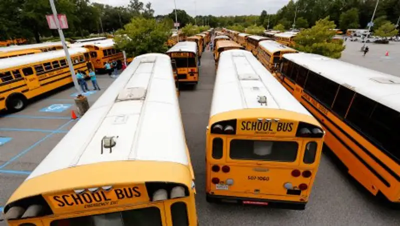 В Новой Зеландии дети пойдут в школу в возрасте 4–5 лет