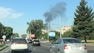 zakon.kz, фото - Новости Zakon.kz от 22.08.2019 15:01