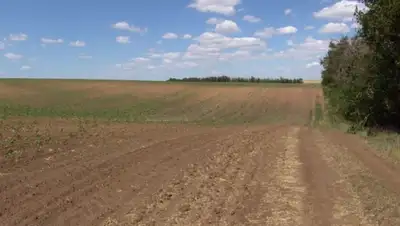 Zakon.kz, фото - Новости Zakon.kz от 01.05.2016 23:37