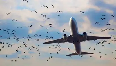 comments.ua, фото - Новости Zakon.kz от 24.07.2018 01:26