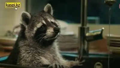 Zakon.kz, фото - Новости Zakon.kz от 14.03.2017 18:37