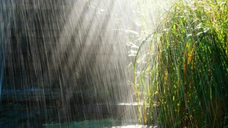 Понижение температуры до 2 градусов ожидается в Казахстане