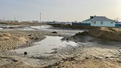 село Сагыз, паводок, фото - Новости Zakon.kz от 31.03.2022 11:59