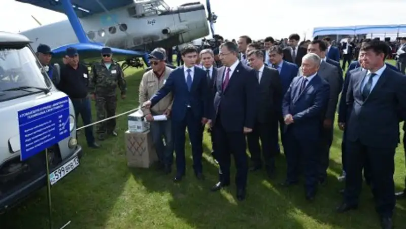 В ЮКО начались мероприятия по борьбе с саранчой