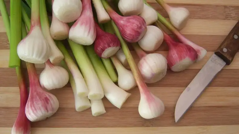 Продукты, содержащие максимальное количество пребиотиков, назвали ученые